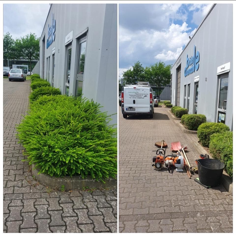 Gewerbliche Grünflächen - Büsche professionell geschnitten