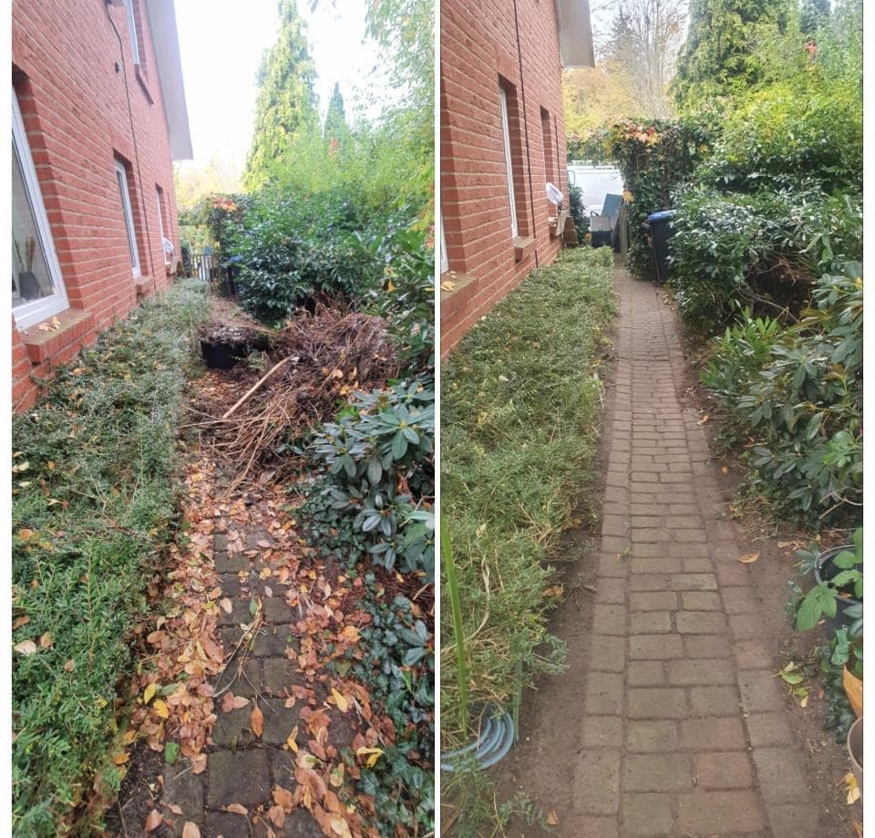 Gartenweg gereinigt und freigelegt