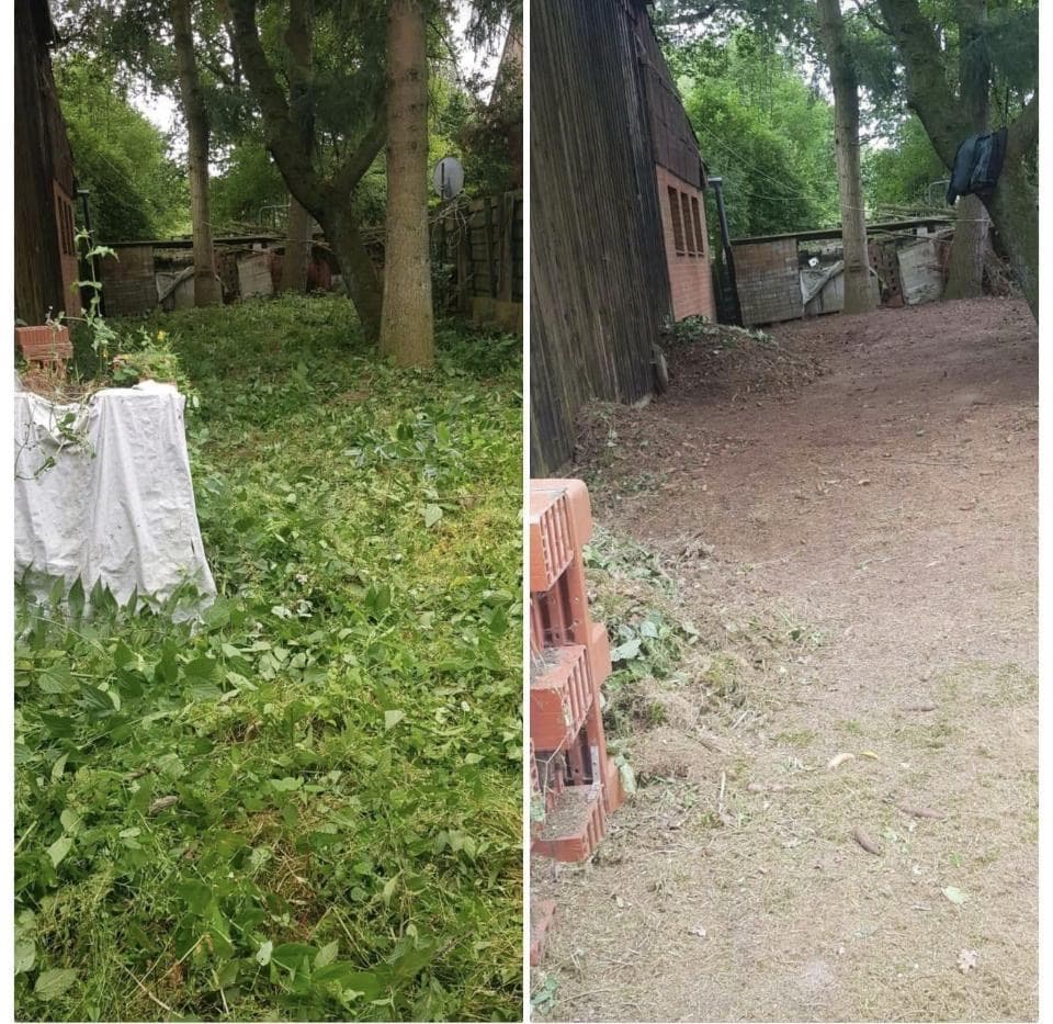 Überwucherter Hinterhof komplett geräumt