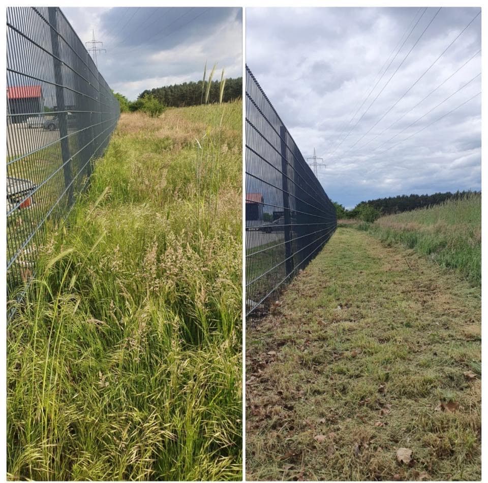 Zaunlinie gemäht und gepflegt