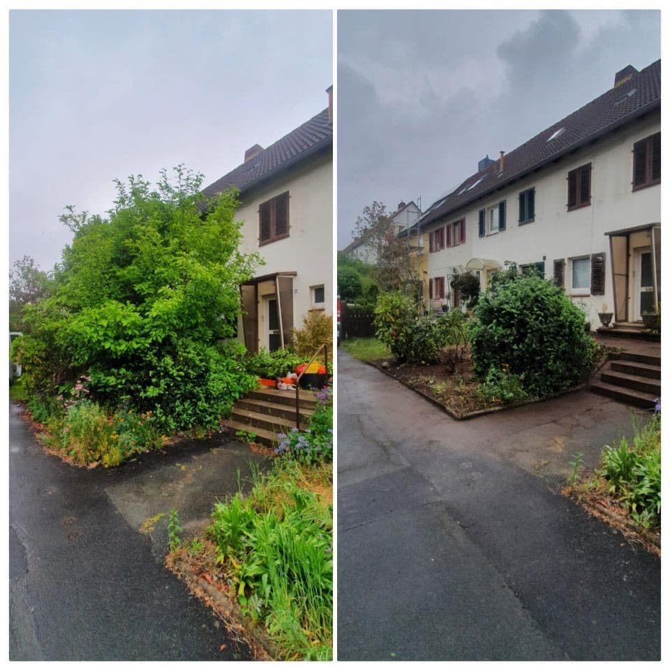 Vorgarten professionell zurückgeschnitten