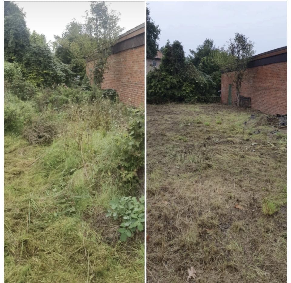 Verwilderter Garten komplett gerodet und aufgeräumt