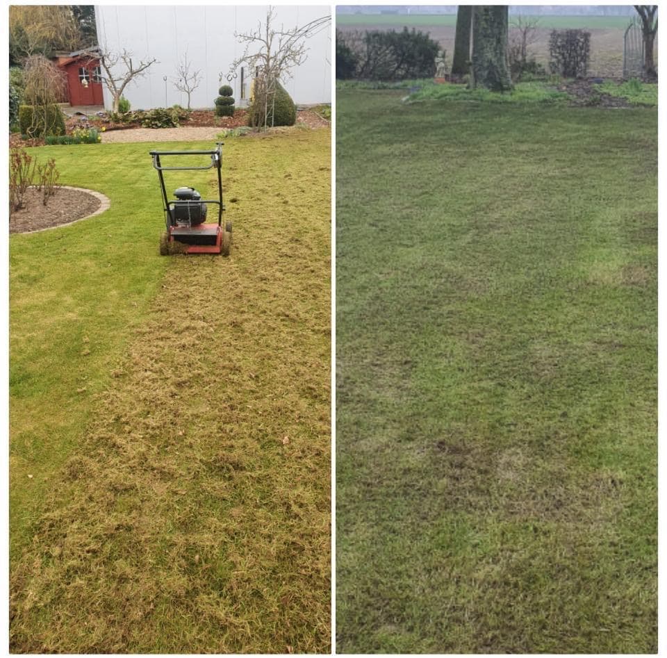 Rasenpflege und Vertikutieren