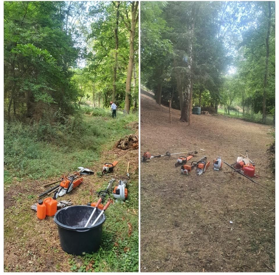 Waldlichtung komplett gerodet und aufgeräumt